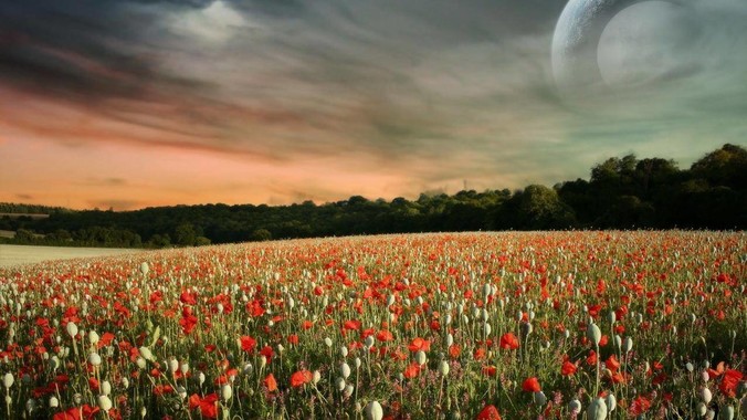 吴柳芳的真实水平如何？